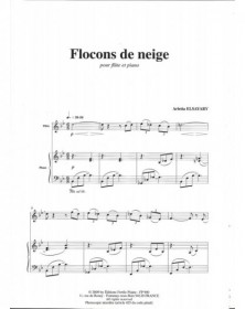 Flocons De Neige