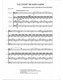 Le Cygne