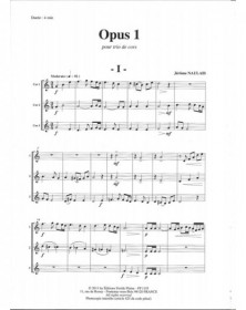 Opus 1