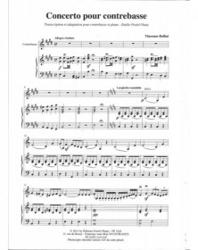 Concerto Pour Contrebasse...