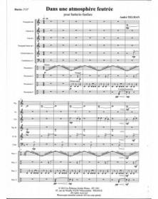Dans Une Atmosphère Feutrée