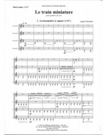 Le Train Miniature