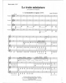 Le Train Miniature