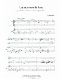 Morceau De Lune