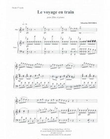 Le Voyage En Train
