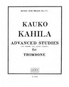 Advanced Studies
