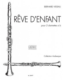 Bernard Videau: Rêve d'enfant