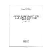 Bruno Ducol : Les sons s'enroulaient dans l'air comme des nuages en fuite