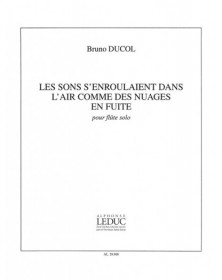 Bruno Ducol : Les sons s'enroulaient dans l'air comme des nuages en fuite