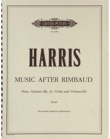 Music after Rimbaud