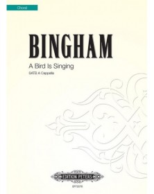 A Bird is singing