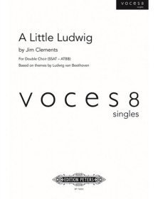 A Little Ludwig