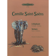 The Elephant / Tortoises