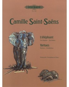 The Elephant / Tortoises
