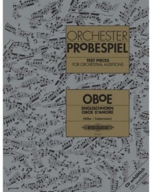 Orchester Probespiel Oboe