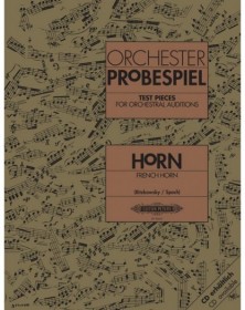 Orchester Probespiel Horn