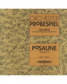 Orchester Probespiel Posaune