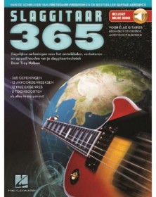 Slaggitaar 365