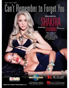 Can't Remember to Forget You